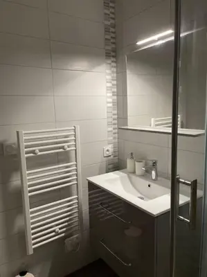 Salle de bains dans l'établissement Mulhouse hyper centre - Grand T3- Aux bons enfants