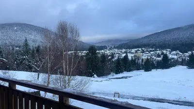 Paysage naturel près de l'appartement