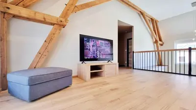 Télévision ou salle de divertissement dans l'établissement La grange d'Andre - Spa - 8 personnes - Proche Europa Park