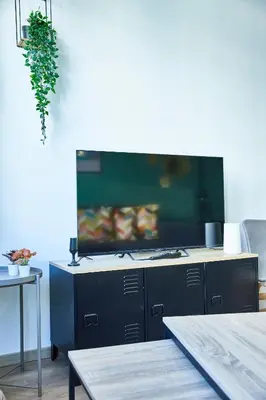 Télévision ou salle de divertissement dans l'établissement BE-2D Joli 3 pièces tout équipé pour 1-4 pers 2ème étage au centre de Mulhouse