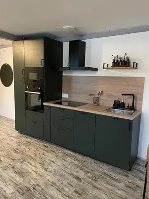Cuisine ou kitchenette dans l'établissement Le Cosy Green - centre-ville