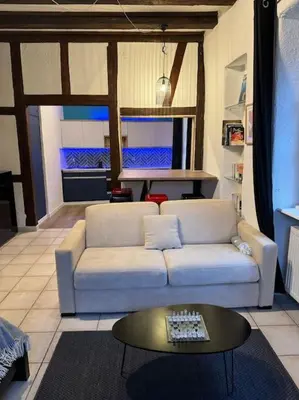 Coin salon dans l'établissement Suite Schwendi - L'Authentique - en Hypercentre