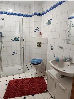 Salle de bains dans l'établissement Formule société porte de Bâle