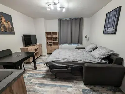 Télévision ou salle de divertissement dans l'établissement Chez Paulette, Studio cosy au centre ville de Gérardmer