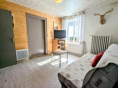 Télévision ou salle de divertissement dans l'établissement Appartement cosy à La Bresse avec terrasse et parking, animaux admis - FR-1-589-689
