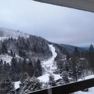 La Bresse OURSON