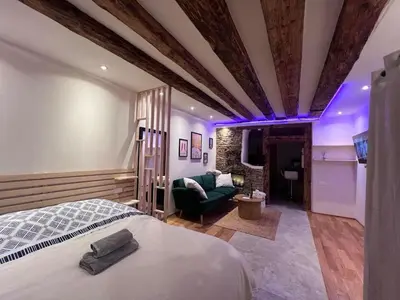 Un ou plusieurs lits dans un hébergement de l'établissement Studio Charme Huningue Abbatucci