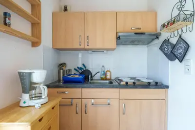 Cuisine ou kitchenette dans l'établissement Le Printemps - Appt vue montagne avec terrasse