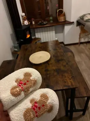 Plan de l'établissement Studio douillet esprit chalet