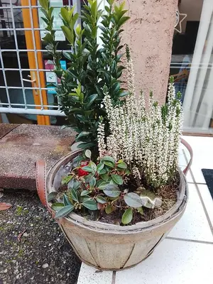 Jardin de l'établissement Au Bon Air
