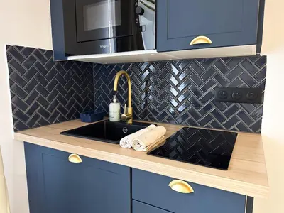 Cuisine ou kitchenette dans l'établissement Suite Saphir