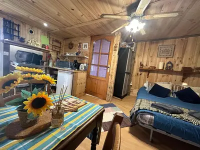 Cuisine ou kitchenette dans l'établissement Mobile home gerardmer