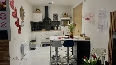Cuisine ou kitchenette dans l'établissement SUITE SOLIE SPA Wintzenheim