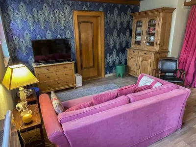 Télévision ou salle de divertissement dans l'établissement Origin'Alsace