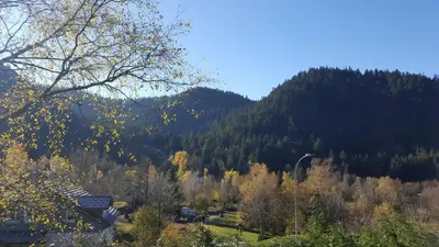 Paysage naturel près de le chalet