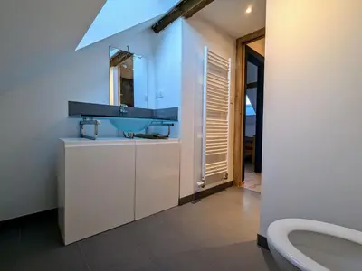 Salle de bains dans l'établissement Gîte confortable avec terrasse et vue montagne, proche loisirs et pistes - FR-1-589-755