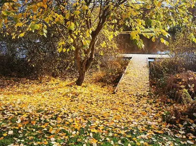 Jardin de l'établissement Le Noisetier