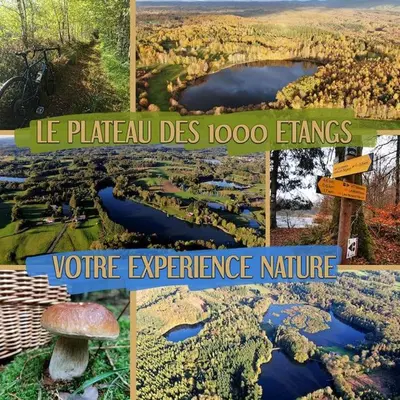 Paysage naturel près de le chalet