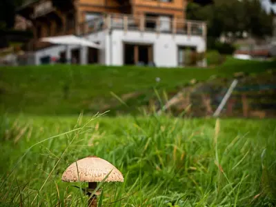 Jardin de l'établissement Chalet familial avec sauna et terrasse près du lac - FR-1-589-758