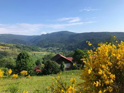 Plan de l'établissement Appartement à la ferme vosgienne avec terrasse, cheminée et wifi - FR-1-589-759