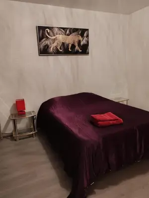 Un ou plusieurs lits dans un hébergement de l'établissement Spacieux et lumineux T5 avec 4 chambres, au centre-ville de Mulhouse, grand balcon, grand écran plat