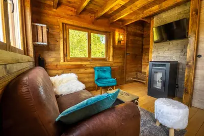 Télévision ou salle de divertissement dans l'établissement Chalet chevreuils du beillard