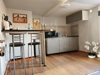 Cuisine ou kitchenette dans l'établissement Apparat