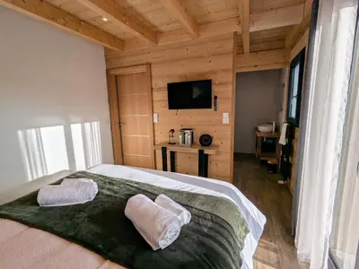 Télévision ou salle de divertissement dans l'établissement Chalet grand confort avec sauna et balnéo - Proche stations de ski - FR-1-589-762