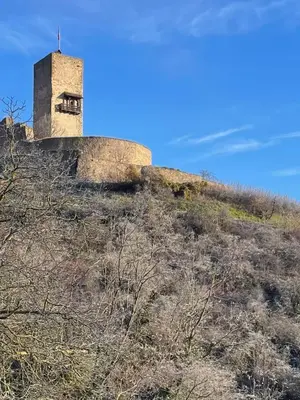 Plan de l'établissement La Closerie du Château - Vignoble à 10mn de COLMAR
