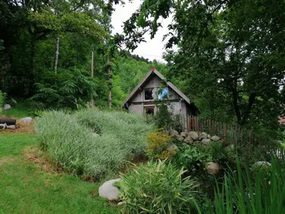 Jardin de l'établissement Cabanon