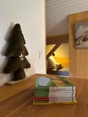 Bibliothèque dans la maison de vacances