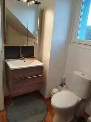 Salle de bains dans l'établissement Escapade cosy dans T2 lumineux, proche Colmar