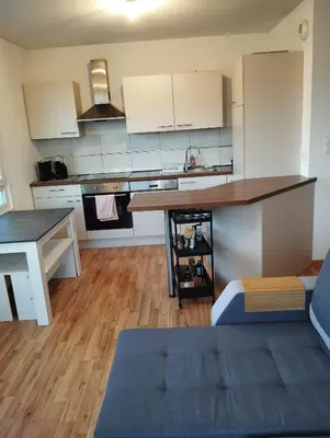 Cuisine ou kitchenette dans l'établissement Escapade cosy dans T2 lumineux, proche Colmar