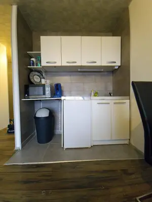 Cuisine ou kitchenette dans l'établissement Belle vue appart