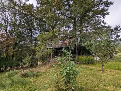 Jardin de l'établissement Cabane perchée avec terrasse, sauna et BBQ à Ferdrupt - FR-1-589-770