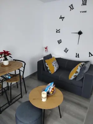 Coin salon dans l'établissement Le nid du colibri appartement entier F1 à 5 mn de Mulhouse