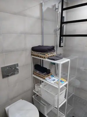 Salle de bains dans l'établissement Le nid du colibri appartement entier F1 à 5 mn de Mulhouse