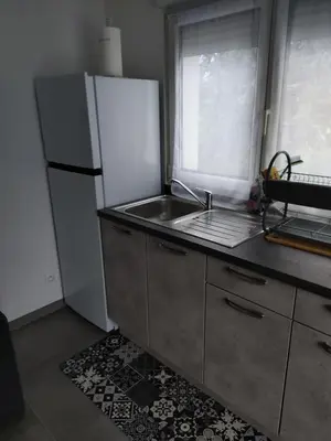 Cuisine ou kitchenette dans l'établissement Le nid du colibri appartement entier F1 à 5 mn de Mulhouse
