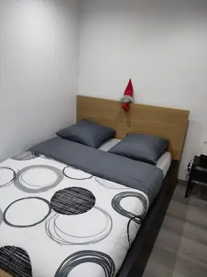 Un ou plusieurs lits dans un hébergement de l'établissement Le nid du colibri appartement entier F1 à 5 mn de Mulhouse