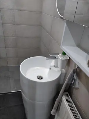 Salle de bains dans l'établissement Le nid du colibri appartement entier F1 à 5 mn de Mulhouse