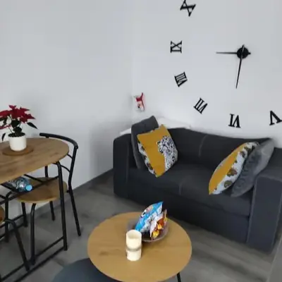 Le nid du colibri appartement entier F1 à 5 mn de Mulhouse