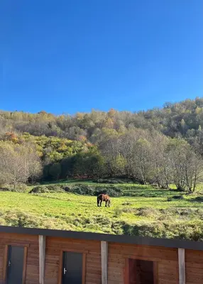 Paysage naturel près de l'appartement