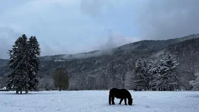 L'établissement Transfo en hiver
