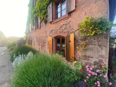 Jardin de l'établissement La maison aux quatres lavandes