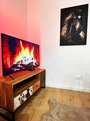 Télévision ou salle de divertissement dans l'établissement L'Etoile du Vignoble Meublé de Tourisme 4 étoiles au cœur d'un ranch alsacien sur la route des Vins - Climatisé