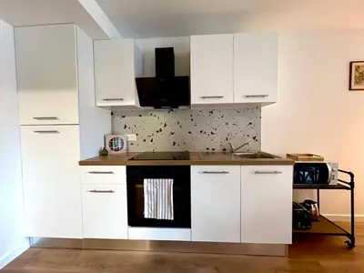 Cuisine ou kitchenette dans l'établissement La Grange - Ground Floor Apartment, Terrace, Free Private Parking, Near Colmar