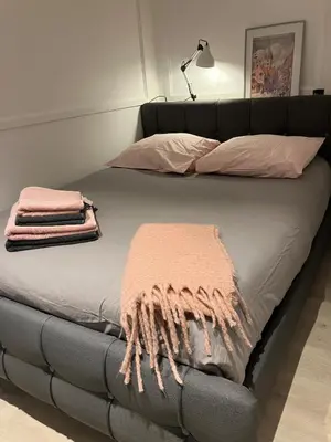 Un ou plusieurs lits dans un hébergement de l'établissement Lovely Mulhouse Apartment