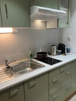 Cuisine ou kitchenette dans l'établissement Lovely Mulhouse Apartment