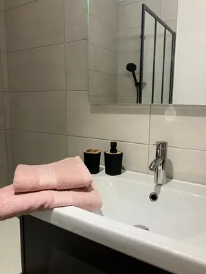 Salle de bains dans l'établissement Lovely Mulhouse Apartment