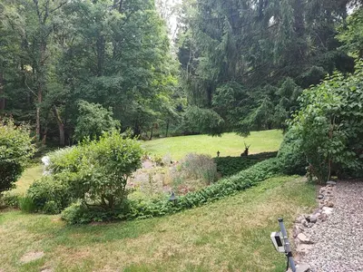 Jardin de l'établissement Chalet insolite en Forêt